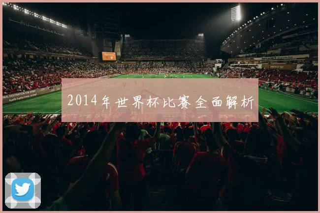 2014年世界杯比赛全面解析