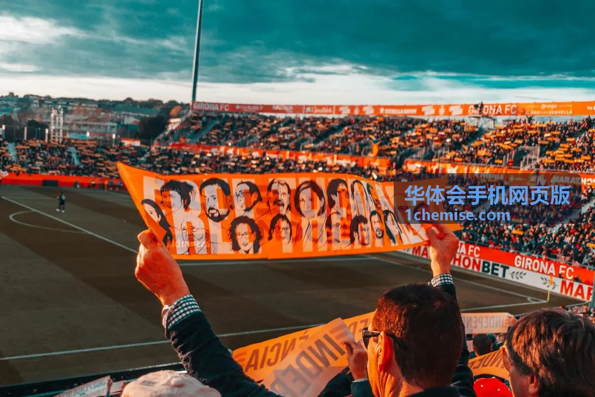 平板与折叠屏上的华体会手机网页版布局