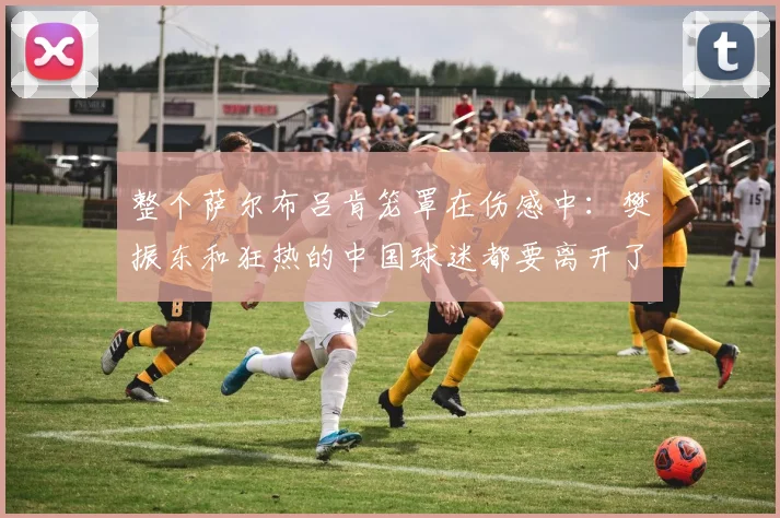 整个萨尔布吕肯笼罩在伤感中：樊振东和狂热的中国球迷都要离开了