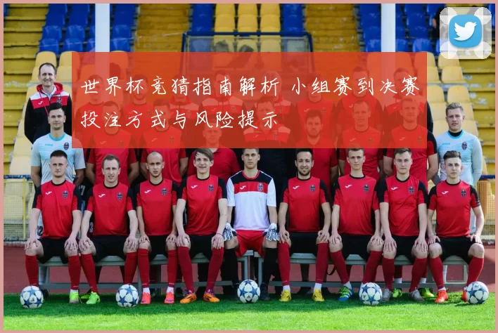 世界杯竞猜指南解析 小组赛到决赛投注方式与风险提示