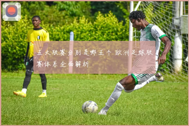 五大联赛分别是哪五个 欧洲足球联赛体系全面解析