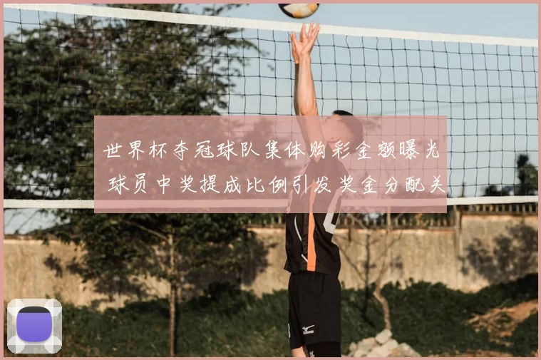 世界杯夺冠球队集体购彩金额曝光 球员中奖提成比例引发奖金分配关注
