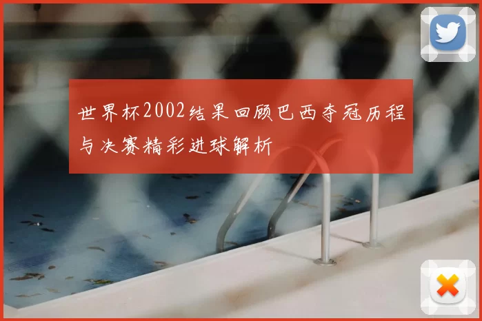 世界杯2002结果回顾巴西夺冠历程与决赛精彩进球解析