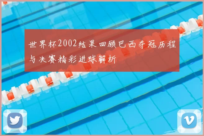 世界杯2002结果回顾巴西夺冠历程与决赛精彩进球解析