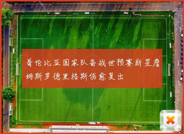 哥伦比亚国家队备战世预赛新星詹姆斯罗德里格斯伤愈复出