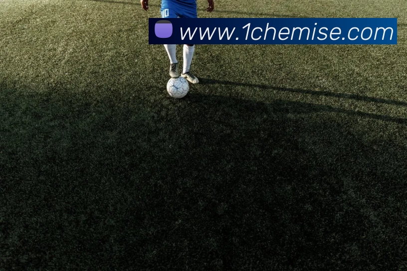 世界杯官方网平台生态图